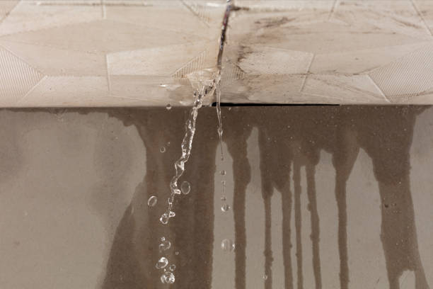 Professional Water Damage Repair technician working in Kempner, TX